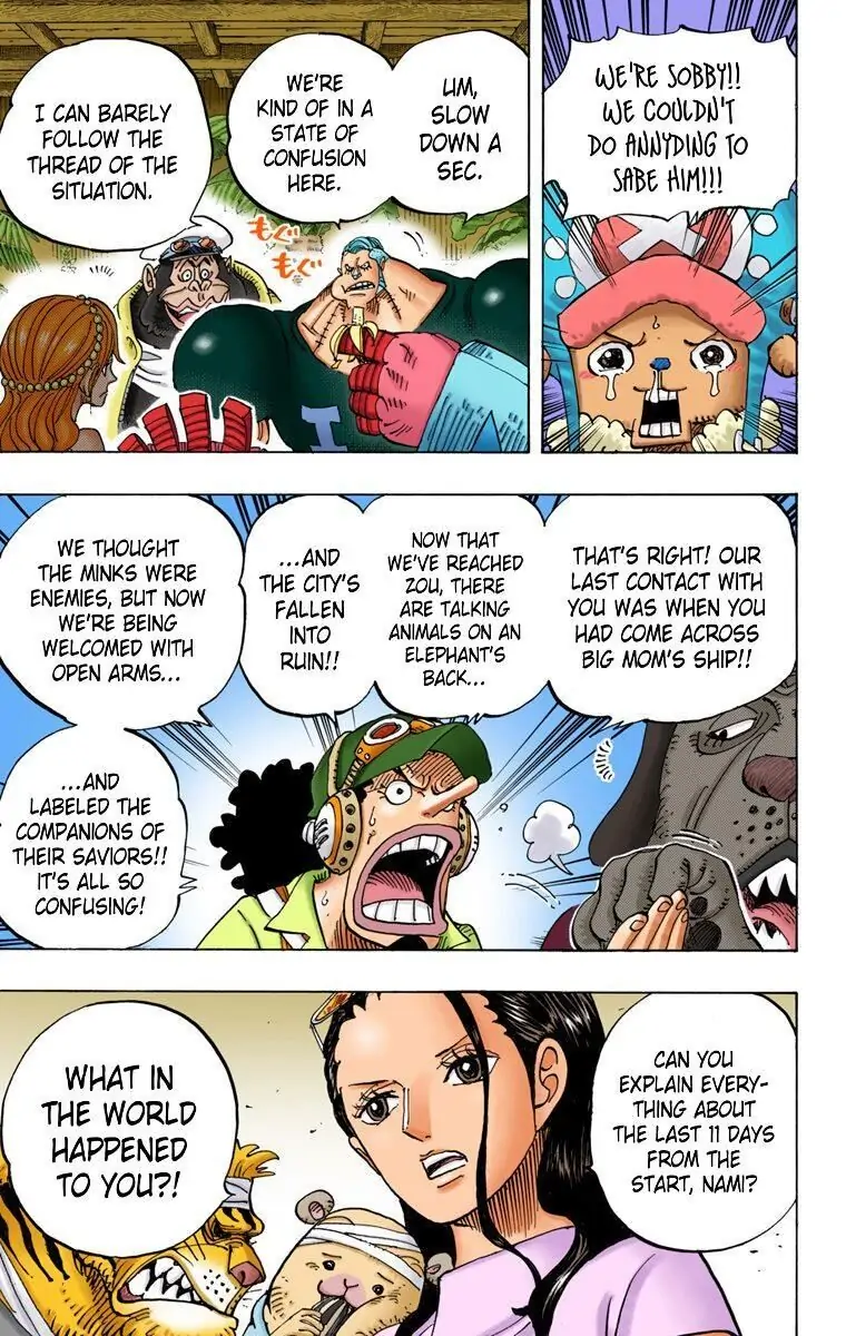 One Piece Digital Colored Chapter 807 image 12
